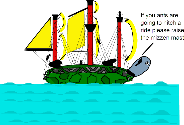 Turtle
                              Boat Cartoon