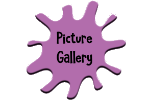 Picture Gallery Icon